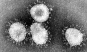 Coronavirus, civid19